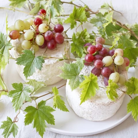 Rustic Vineyard Cheese Grapes